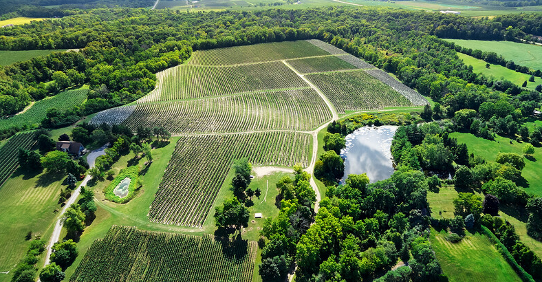 Vignoble Domaine du Clos Jordanne