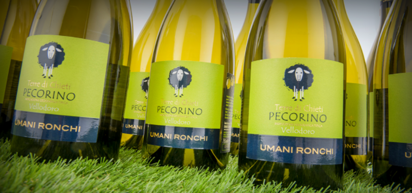 Bouteilles de Vellodoro, Pecorino, Umani Ronchi