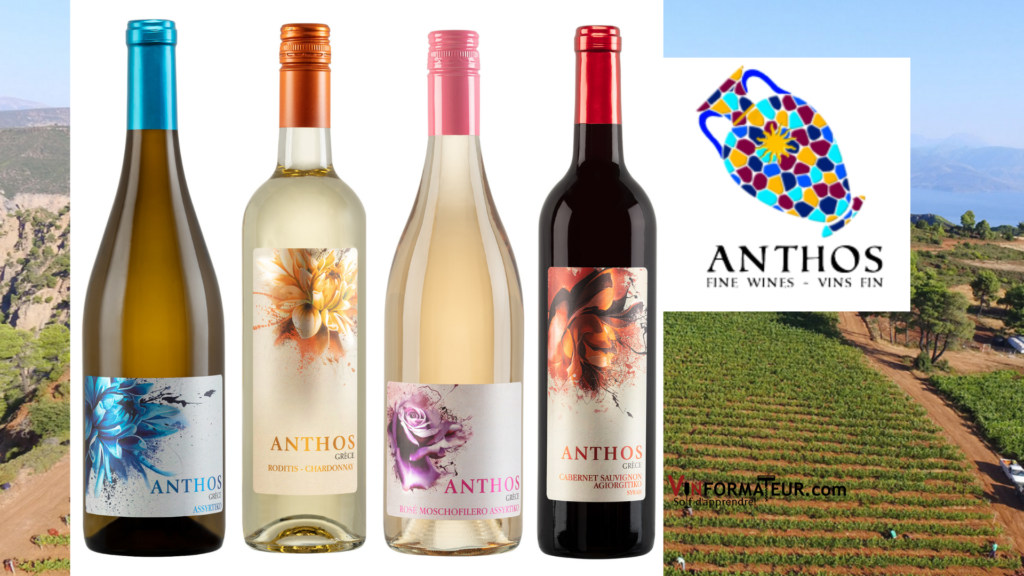 Découvrez les nouveaux vins grecs Anthos! Les premiers vins grecs disponibles en épicerie!