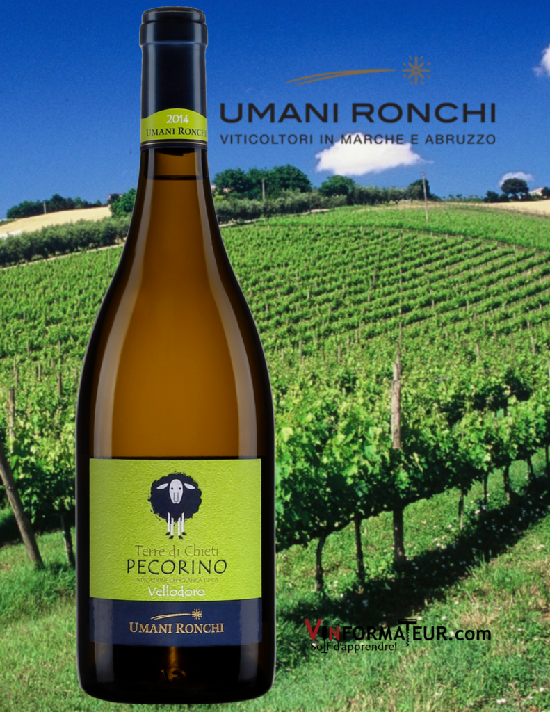 Bouteille de Vellodoro, Pecorino, Italie, Abruzzes, IGP Terre de Chieti Pecorino, Umani Ronchi, 2019