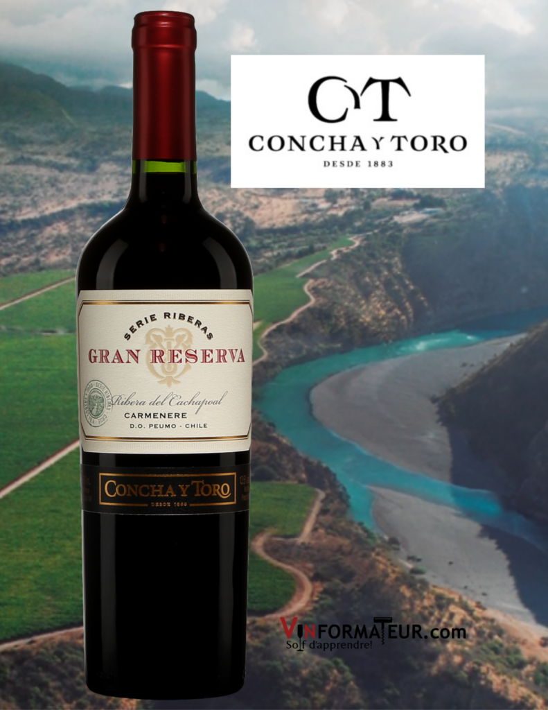 Bouteille de Concha y Toro, Carmenere, Gran Reserva, Serie Ribeiras, Chili, Ribera del Cachapoal, DO Peumo, 2018 avec vignobles concha y toro en background