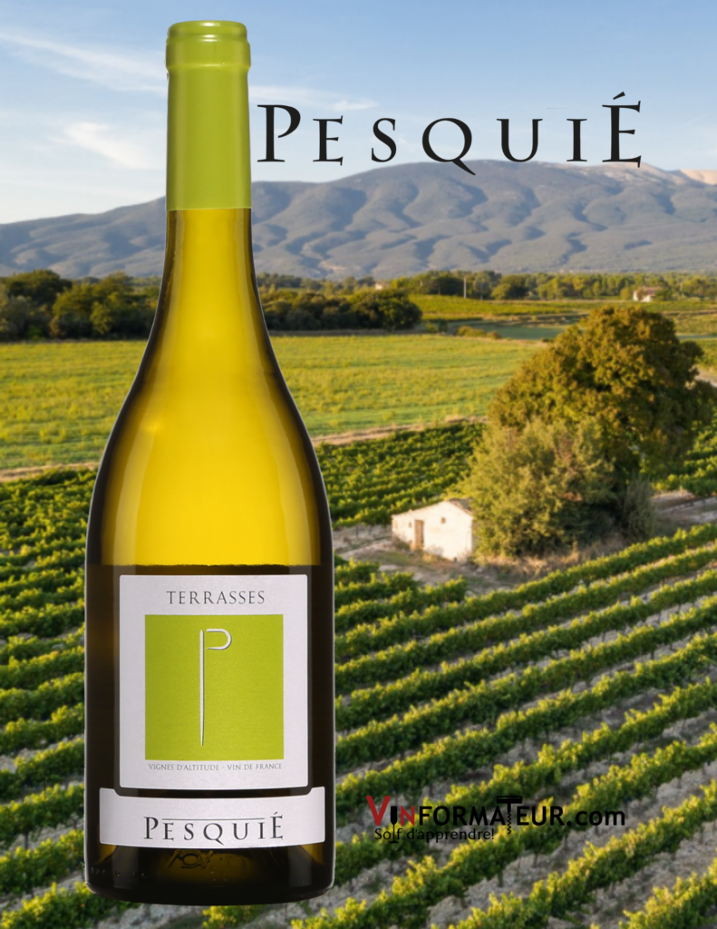 Bouteille de Terrasses, Château Pesquié, France, AOC Ventoux, vin blanc bio, 2019 avec vignoble en background
