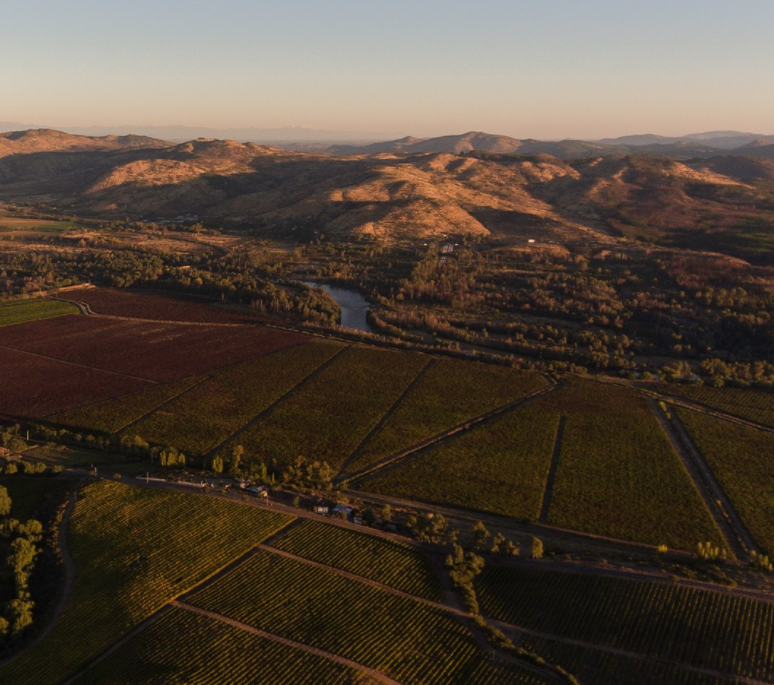 Vignobles Concha y Toro