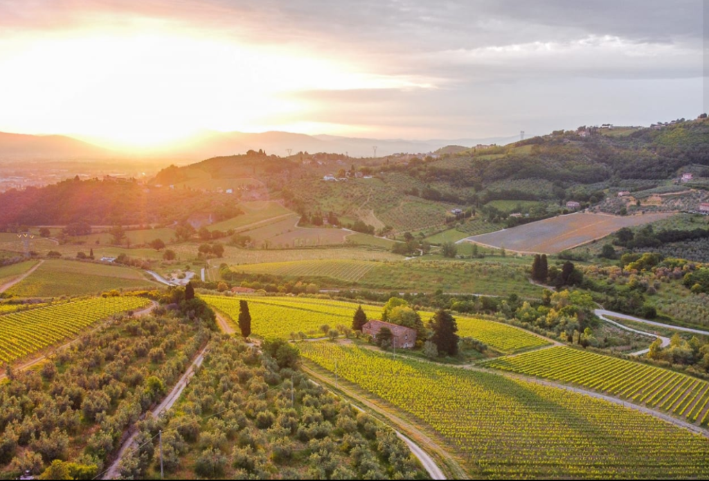 Vignoble Tenuta di Capezzana