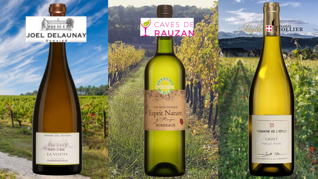 Découvrez la France tout en blanc avec ces 3 vins!
