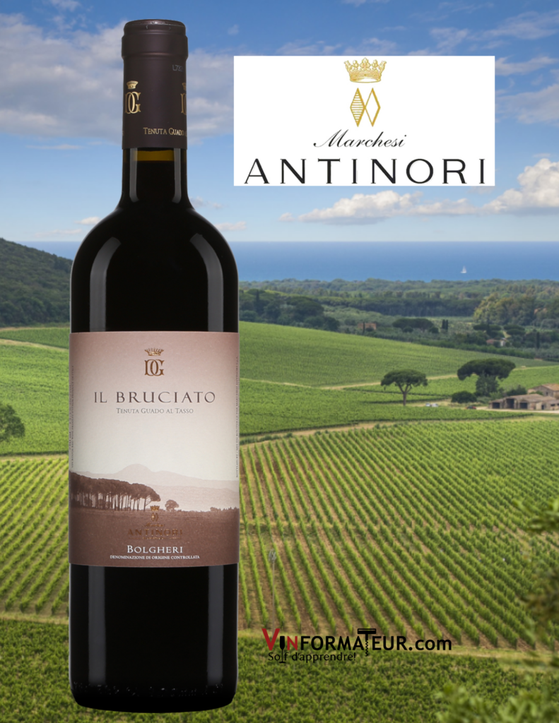 Bouteille de Il Bruciato, Italie, Toscane, Antinori, Tenuta Guado Al Tasso, vin rouge, 2019 avec vignobles en arrière-plan