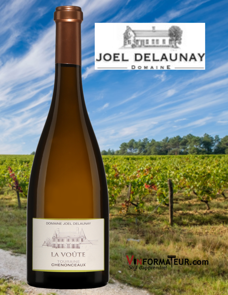 Bouteille de vin La Voûte, France, Val de Loire, Touraine, Chenonceaux, Joel Delaunay, vin blanc, 2019 avec vignoble en arrière-plan