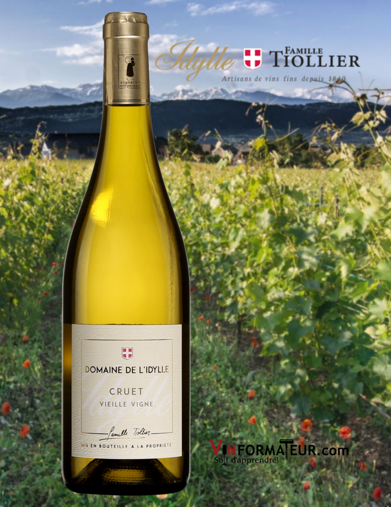 Bouteille de vin Domaine de l’Idylle, Cruet, Vieilles Vignes, vin blanc, France, Savoie et Buguey, 2019 avec vignoble en arrière-plan