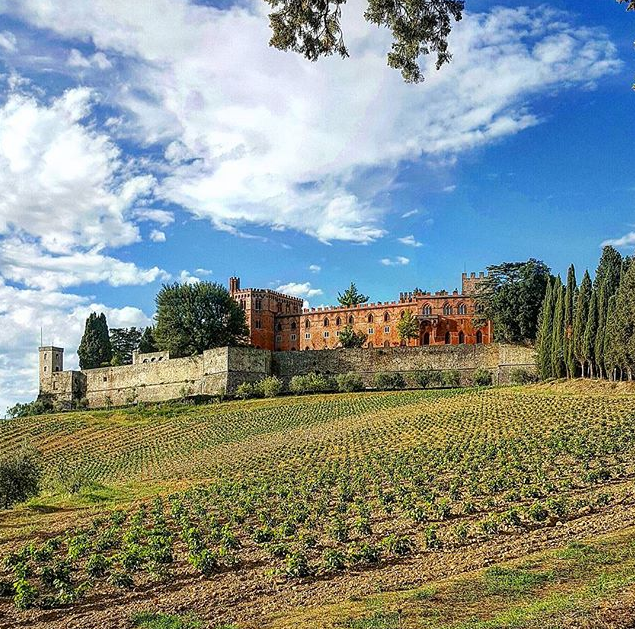 Château de Brolio et vignobles