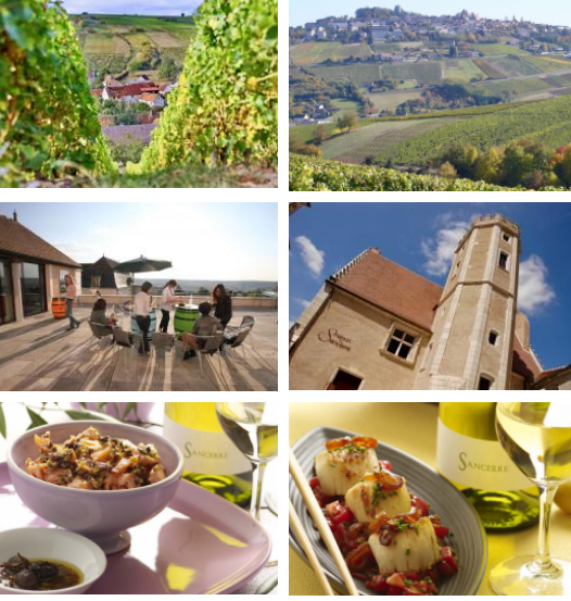 Diverses photos de l'Appellation Sancerre