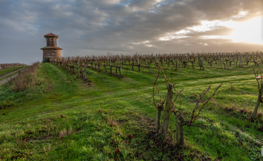 Vignoble Loudenne avec une ''Folie''