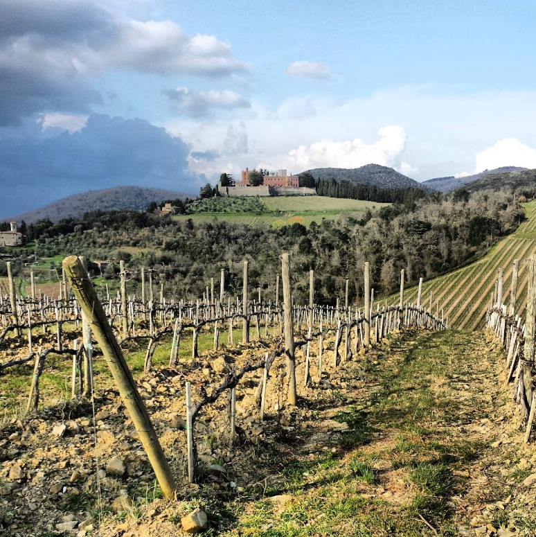 Vignobles Château de Brolio