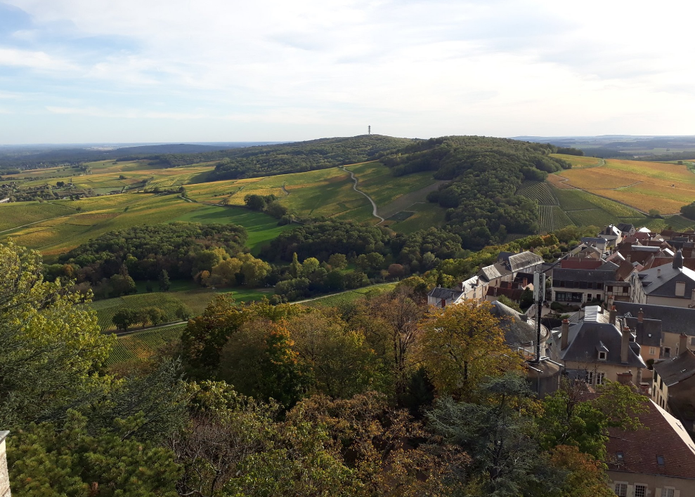 Château de Sancerre et vignoble