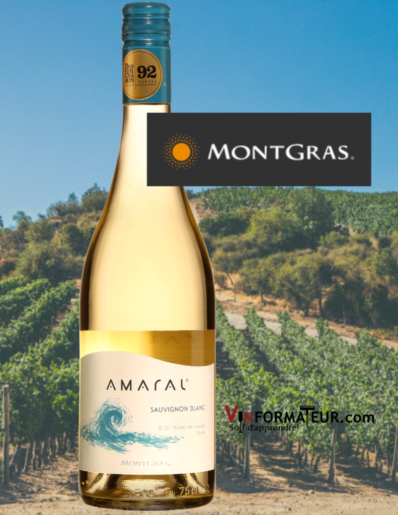 Bouteille Amaral, Sauvignon Blanc, Chili, Aconcagua, Valle de San Antonio, vin blanc Bio, Montgras, 2019 avec vignobles en arrière-plan