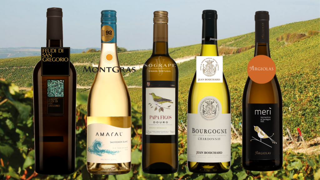 Bouteilles de Cinq vins blancs d'Italie, du Chili, de France et du Portugal avec vignobles en arrière-plan
