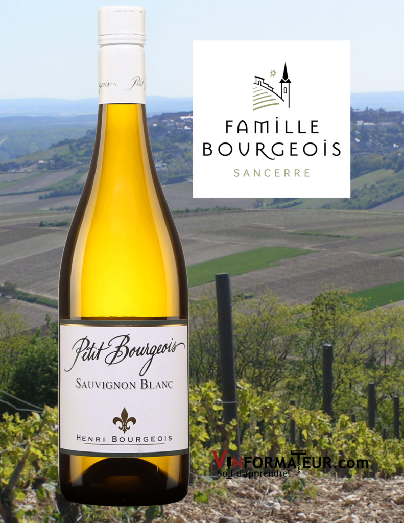 Bouteille de Petit Bourgeois, Sauvignon blanc, Val de Loire, 17,20$, 2019 avec vignobles en arrière-plan
