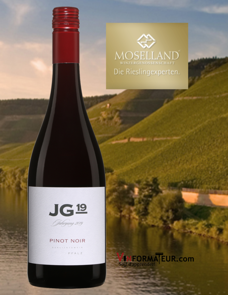Bouteille de JG 19 Pinot Noir, Allemagne, Pfalz, 2019 avec vignobles de Moselland en arrière-plan