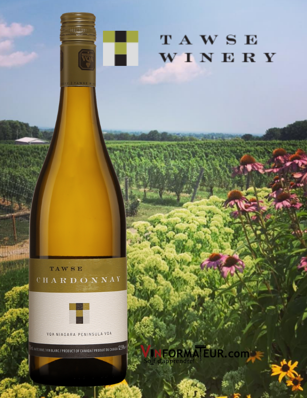 Bouteille de Tawse Chardonnay, Ontario, Niagara Peninsula, vin blanc, 2018 avec vignobles et chai en arrière-plan