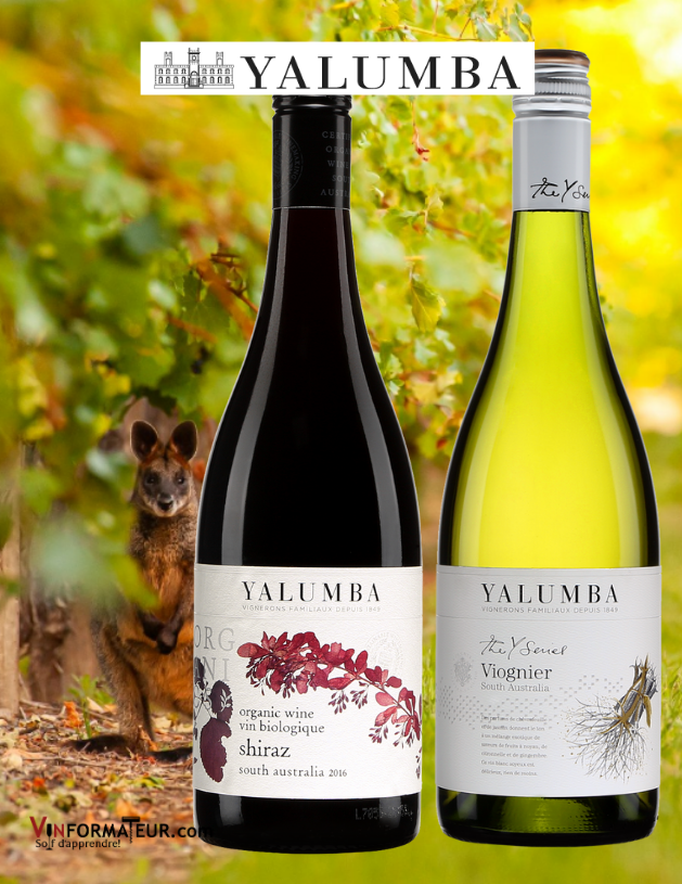 Bouteilles de Yalumba Shiraz 2019 et Viognier 2020 avec vignoble en arrière-plan