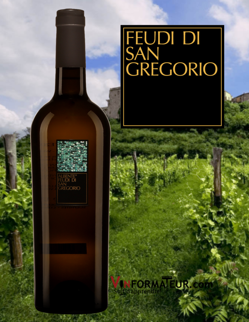 Bouteille Albente, Feudi di San Gregorio, Vino de Tavola, Campanie, Italie, 2019 avec vignobles en arrière-plan