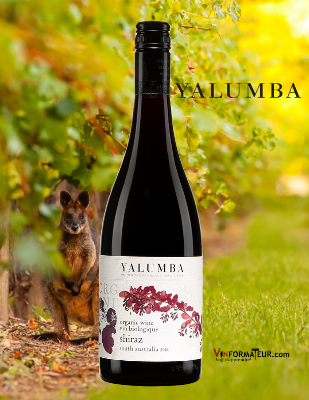 Bouteille de Yalumba, Organic Shiraz, vin certifié bio et vegan, Australie, Barossa Valley, 17,00$, 2019 avec vignoble en arrière-plan