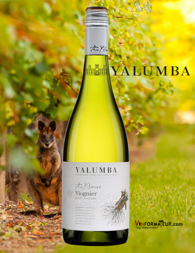 Bouteille de Yalumba, Viognier, The Y Series, vin blanc vegan, Australie, 15,00$, 2020 avec vignoble en arrière-plan