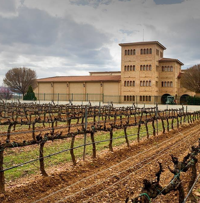 Chai et vignobles Bodegas Esteban Martin