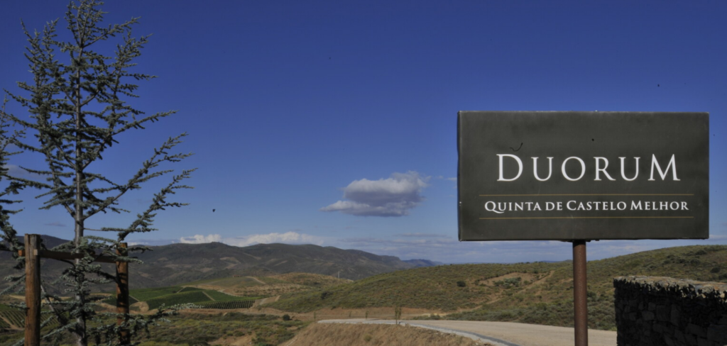 Vignobles du projet Duorum