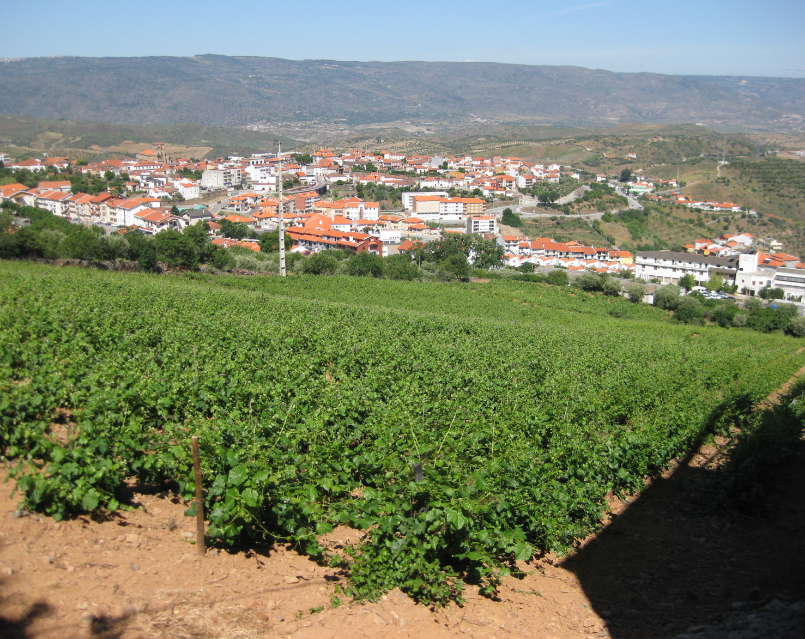 Vignobles Quinta do Vale da Perdiz