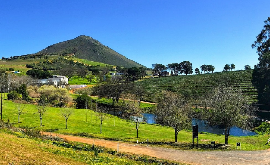 Vignobles Le Bonheur Afrique du Sud