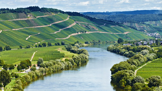 Vignobles de Moselland Allemagne Pfalz