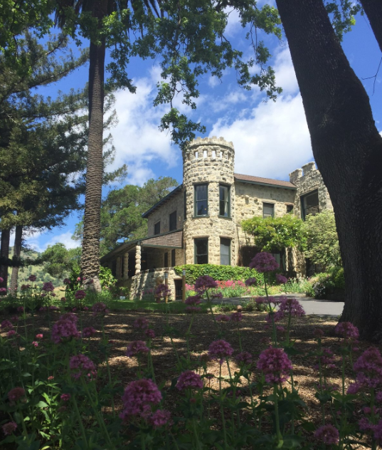 Stags' Leap Winery - chai