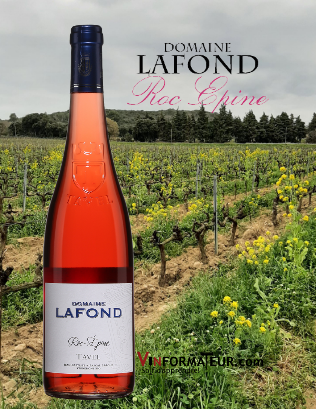 Bouteille de Tavel, Roc-Épine, Domaine Lafond, France, Vallée du Rhône méridionale, Tavel, vin bio, 2019 avec vignoble en arrière-plan
