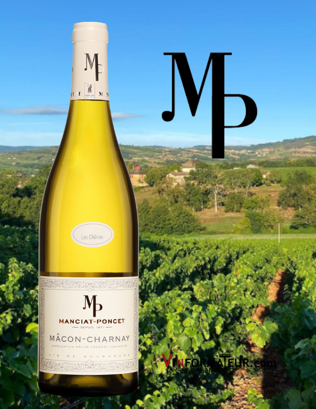 Bouteille Mâcon-Charnay, Les Chênes, France, Mâconnais, Mâcon-Charnay, vin blanc, 2019 avec vignoble en arrière-plan