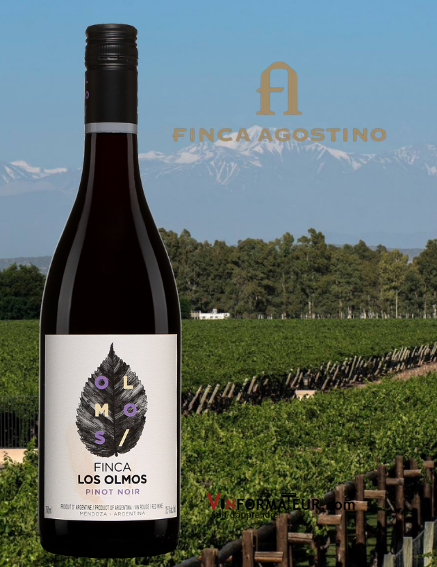 Bouteille de Finca Los Olmos, Pinot Noir, Argentine, Mendoza, Finca Agostino, 2018 avec vignoble en arrière-plan