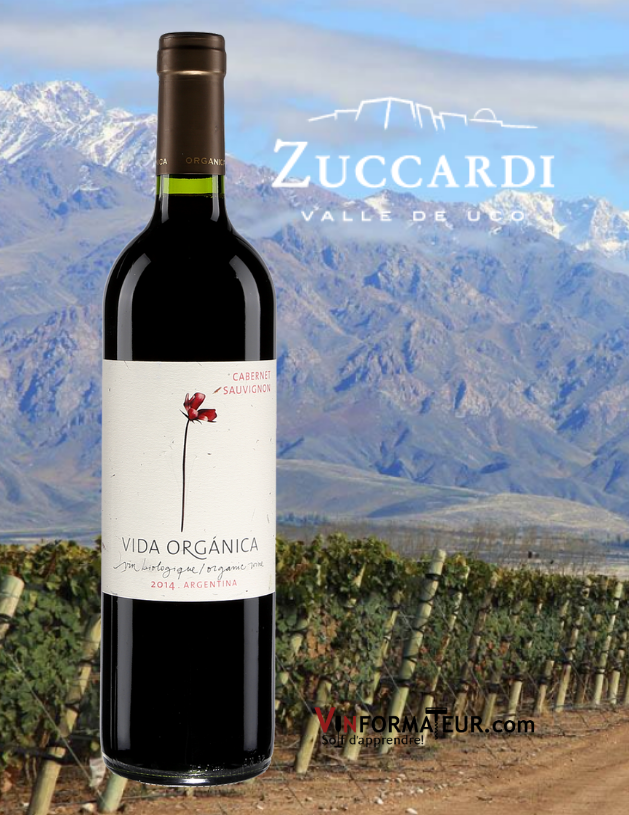 BOuteille de Vida Organica, Sauvage, Cabernet-Sauvignon, vin rouge bio, Argentine, Mendoza, Zuccardi, 2020 avec vignoble en arrière-plan
