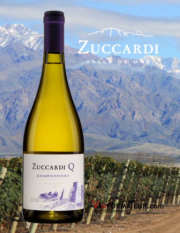 Bouteille de Zuccardi Q, Chardonnay, Argentine, Mendoza, Valle de Uco, 2019 avec vignoble en arrière-plan