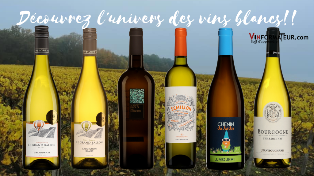 6 vins blancs à découvrir!