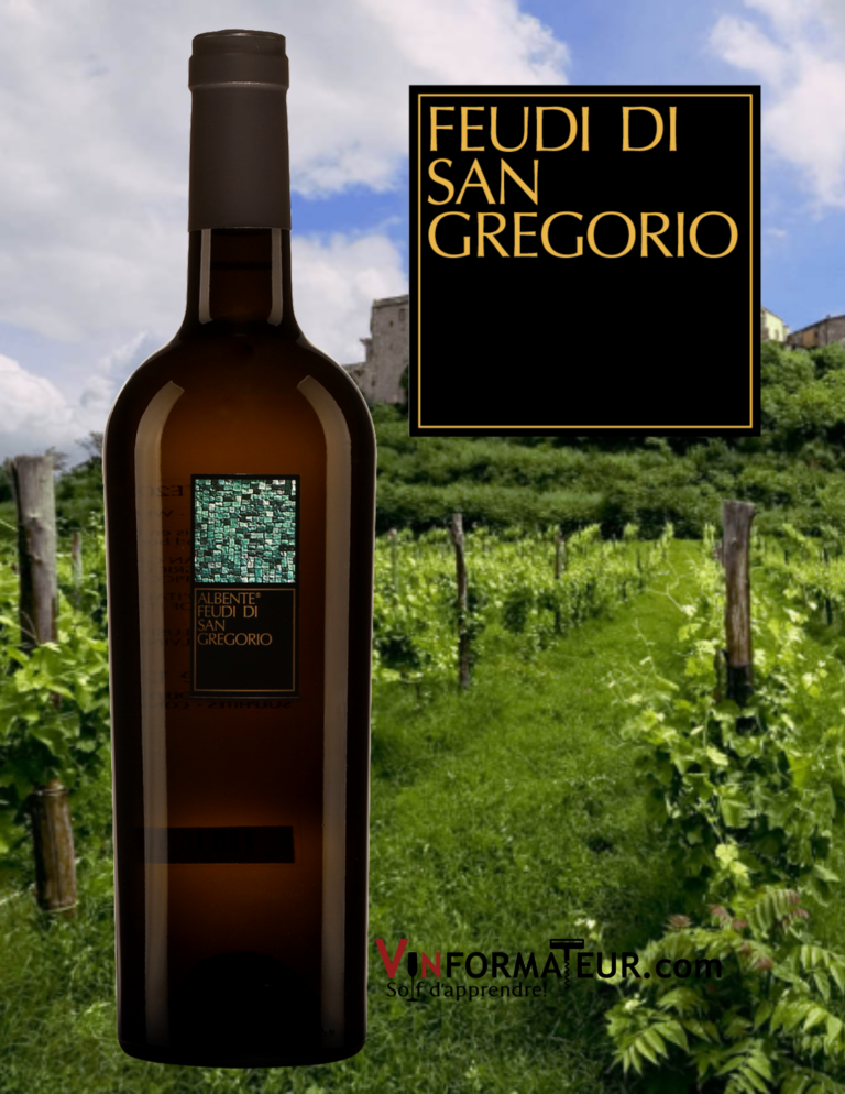 Bouteille d'Albente, Feudi di San Gregorio, Vino de Tavola, Campanie, Italie, 2019 avec vignoble an arrière-plan