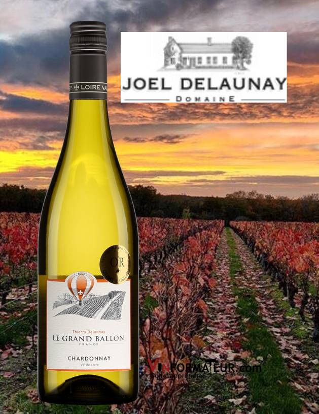 Bouteille de Le Grand Ballon, Chardonnay, France, Val de Loire, Thierry Delaunay, vin blanc, 2020 avec vignoble en arrière-plan