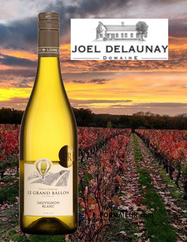 Bouteille de Le Grand Ballon, Sauvignon blanc, France, Val de Loire, Thierry Delaunay, vin blanc, 2020 avec vignoble en arrière-plan