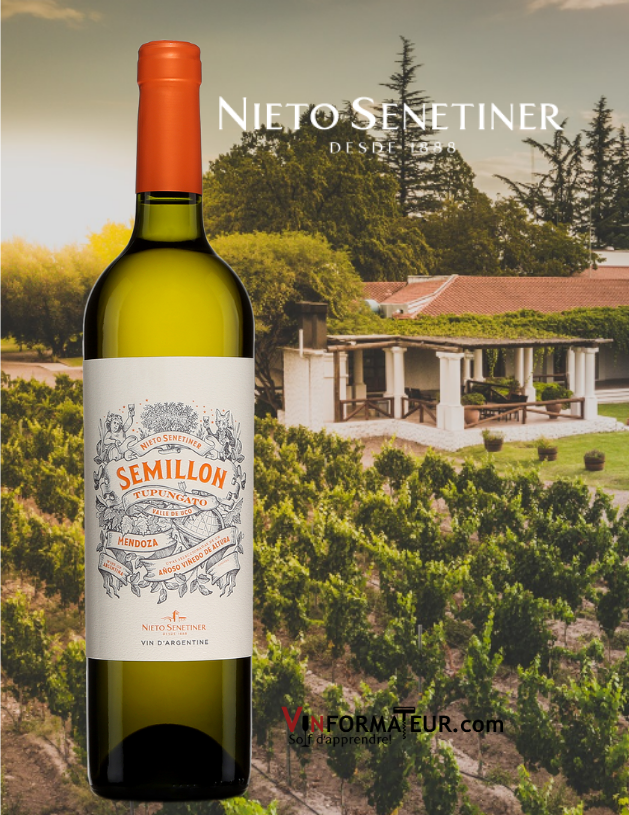 Bouteille de Sémillon, Tupungato, Nieto Senetiner, Argentine, Mendoza, Nieto Senetiner, vin blanc, 2018 avec chai en arrière-plan