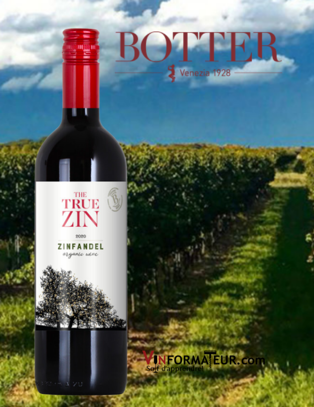 Bouteille de The True Zin, Zinfandel, Italie, Puglia, Botter, vin rouge bio, 2020 avec vignoble en arrière-plan