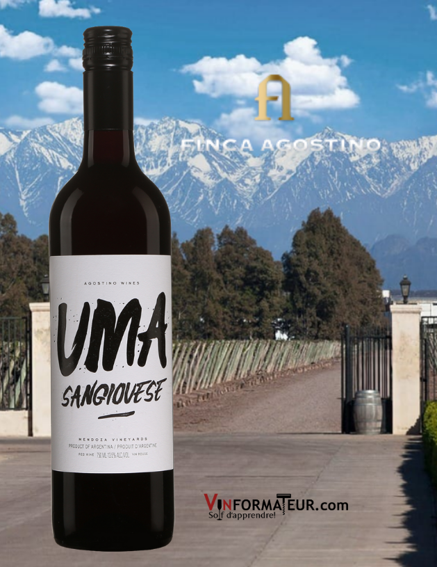 Bouteille Uma, Sangiovese, Argentine, Mendoza, Finca Agostino, 2020 avec vignoble en arrière-plan