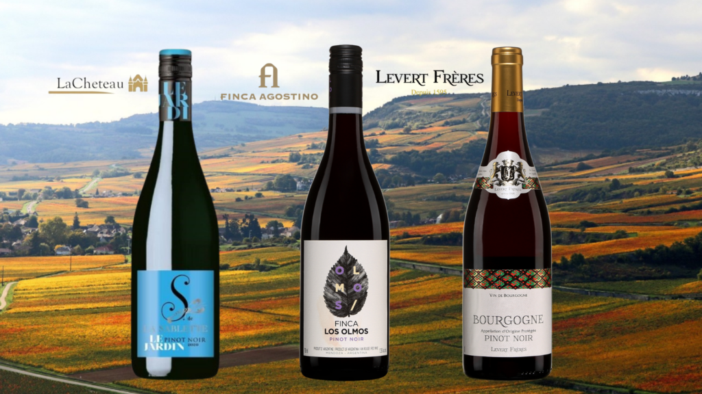 Découvrez 3 expressions du Pinot Noir à prix abordables!