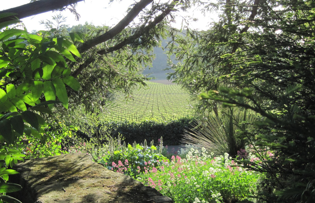 Vignoble Stags' Leap