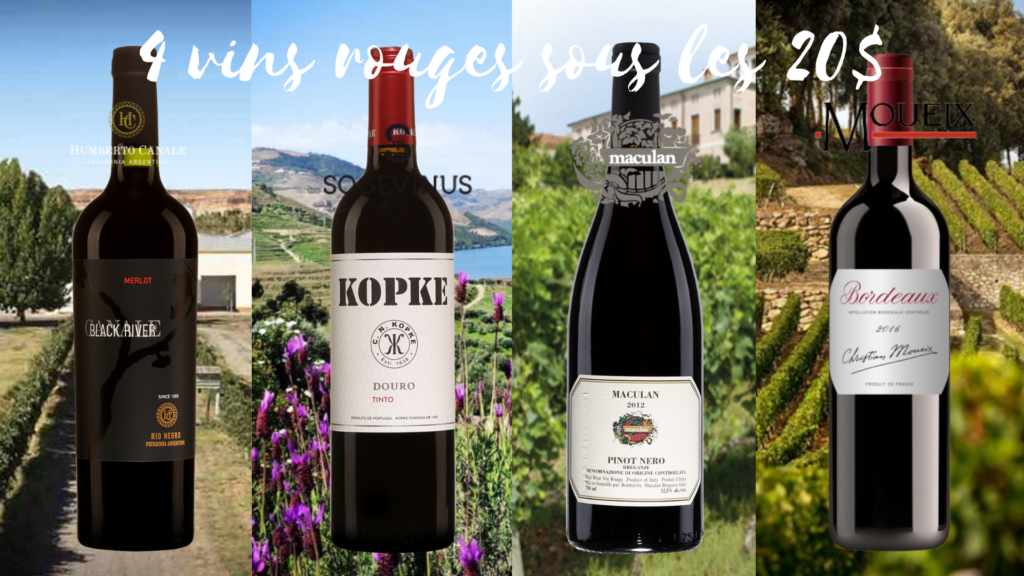 Le Merlot Black River d'Humberto Canale, le Kopke du Portugal, Le Pinot Nero de la maison Maculan et le Bordeaux de Christian Moueix. Bouteilles et vignobles en arrière-plan