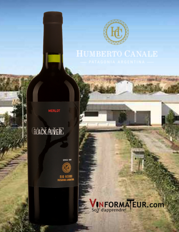 Bouteille de Black River, Merlot, Argentine, Pantagonie, Rio Negro, vin rouge, 2019 abvec vignobles en arrière-plan