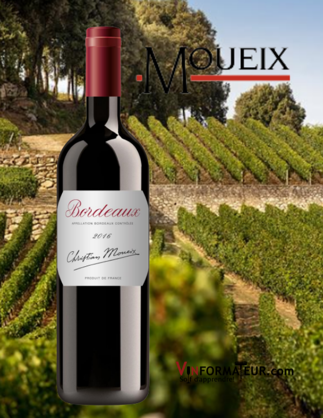 Bouteille de Bordeaux, Christian Moueix, vin rouge (nouvel habillage) 2016 avec vignobles en arrière-plan