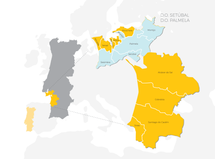 Carte viticole de la Peninsule de Setubal